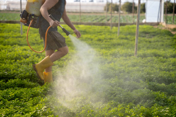 Pest Control Cost in Salem, MO